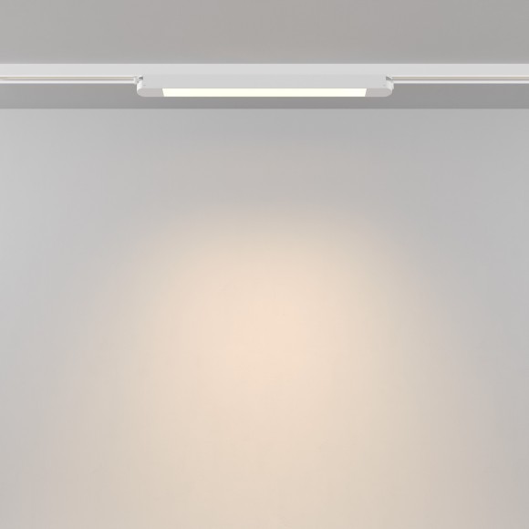 Трековый светильник Technical TR000-1-12W3K-W_1