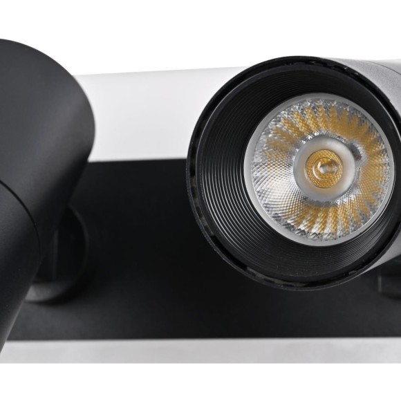 Спот Trick 4079-2C