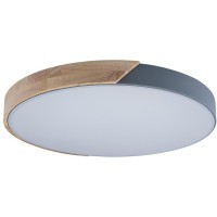 10004/36 Grey Потолочный светильник LOFT IT Axel