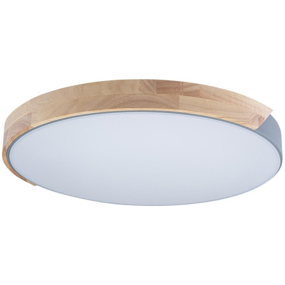 10004/36 Grey Потолочный светильник LOFT IT Axel