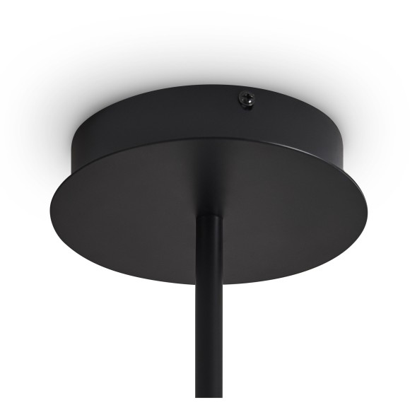 Потолочный светильник Freya FR5541CL-L30B