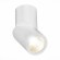 ST650.532.10 Светильник потолочный Белый LED 1*10W 3000K 800Lm Ra90 38° IP44 D62xH151 165-265V Накладные светильники
