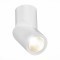 ST650.532.10 Светильник потолочный Белый LED 1*10W 3000K 800Lm Ra90 38° IP44 D62xH151 165-265V Накладные светильники
