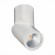 ST650.532.10 Светильник потолочный Белый LED 1*10W 3000K 800Lm Ra90 38° IP44 D62xH151 165-265V Накладные светильники