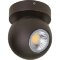 Уличный потолочный светильник Lightstar 51007 Globo IP54 светодиодный LED 8W