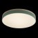 10001/36 Green Потолочный светильник LOFT IT Axel