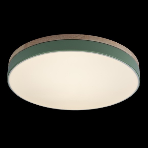 10001/36 Green Потолочный светильник LOFT IT Axel 10001/36 Green Потолочный светильник LOFT IT Axel