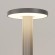 Уличный наземный светильник Maytoni O420FL-L12GF1 Wald IP65 светодиодный LED 12W
