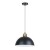 Подвесной светильник Arte Lamp RECINTO A7053SP-1BK