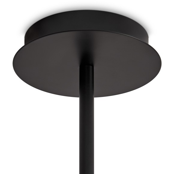 Потолочный светильник Freya FR5544CL-10B Потолочный светильник Freya FR5544CL-10B