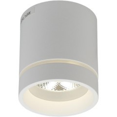 Потолочный спот APL.0044.09.05