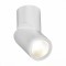 ST650.542.10 Светильник потолочный Белый LED 1*10W 4000K 800Lm Ra90 38° IP44 D62xH151 165-265V Накладные светильники