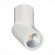 ST650.542.10 Светильник потолочный Белый LED 1*10W 4000K 800Lm Ra90 38° IP44 D62xH151 165-265V Накладные светильники