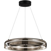 SL6019.333.01 Светильник подвесной ST-Luce Черный/Дымчатый, Белый LED 1*36W 3000K FORAY