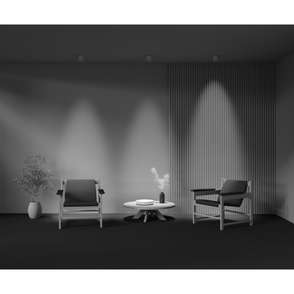 Потолочный светильник Technical C217CL-15W3K-W Потолочный светильник Technical C217CL-15W3K-W