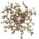 10101W Gold Бра LOFT IT Spark