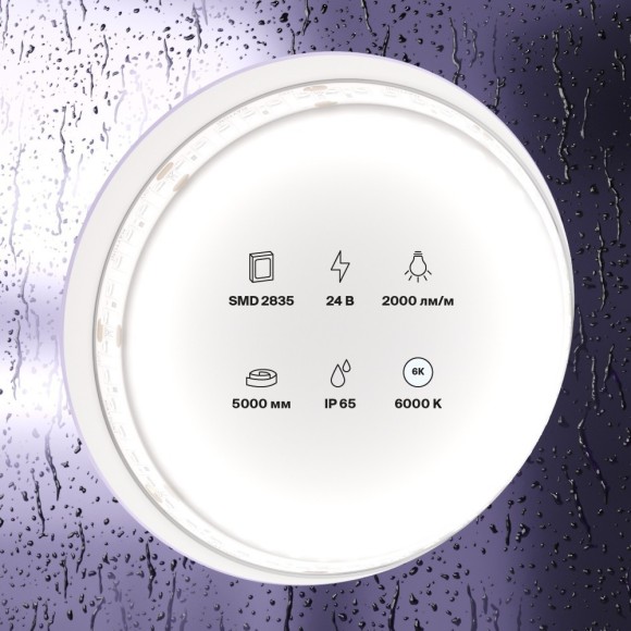 Светодиодная лента 24В 2835 20Вт/м 6000K 5м IP65 арт.10159