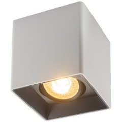 Точечный светильник DK3030-WB Точечный светильник DK3030-WB