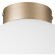 Люстра потолочная Lightstar 812023 Globo под лампу 1xE14 40W