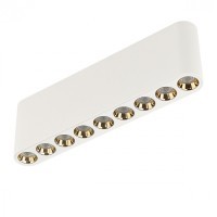 Потолочный светильник LED 3000K Odeon Light SMALL 7091/21CL