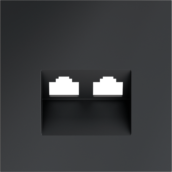 Накладка для розетки компьютерной двойной RJ45+RJ45 кат.6, S70 (графит)