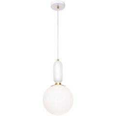 9975-B Подвесной светильник LOFT IT Parachilna 9975-B Подвесной светильник LOFT IT Parachilna
