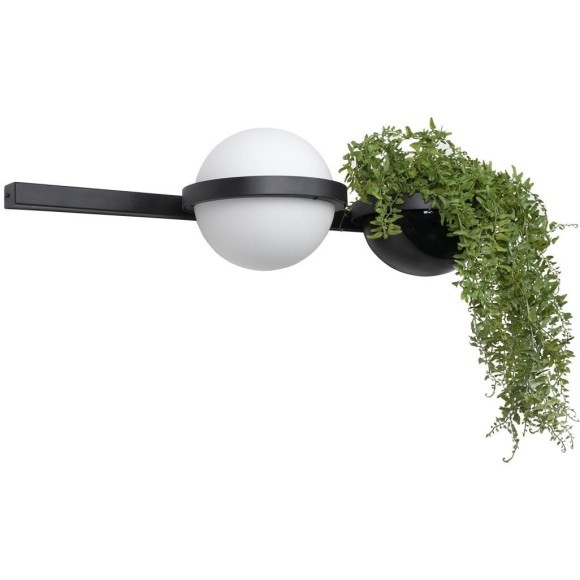 10121W/A Настенный светильник LOFT IT Jardin