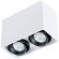 Накладной потолочный светильник Arte Lamp A5655PL-2WH PICTOR под лампы 2xGU10 50W