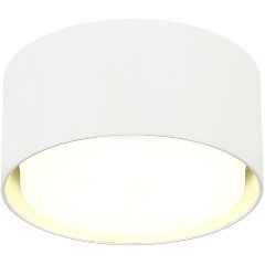 ST164.502.01 Светильник потолочный Белый GX53 1*50W IP20 D85xH40 220V Без ламп Накладные светильники