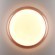 Светильник LED 76Вт 3000/4000/6000К D500 IP43 Sonex CCT PORTMAN 7778/ELN