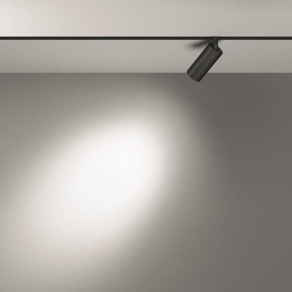 Трековый светильник Technical TR032-2-5W4K-S-B Трековый светильник Technical TR032-2-5W4K-S-B