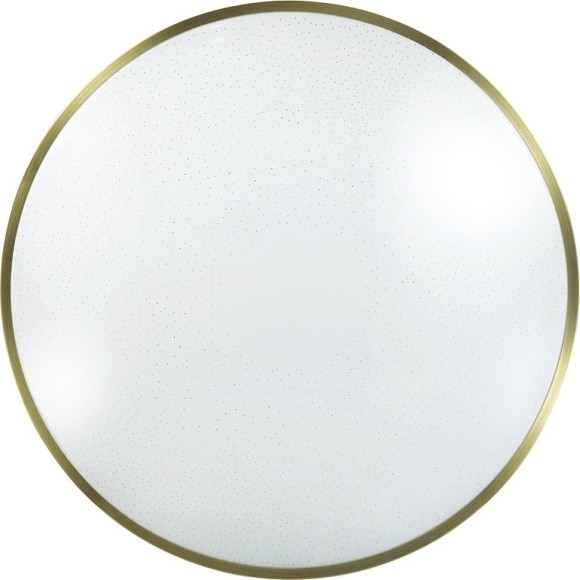 Настенно-потолочный светильник Sonex 2089/DL LOTA BRONZE IP43 светодиодный LED 48W