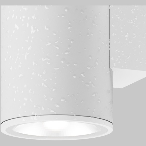 Настенный светильник (бра) Outdoor O303WL-L5W3K