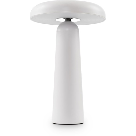 FR6109TL-L4W Светильник С питнаием от USB и аккумулятором Freya