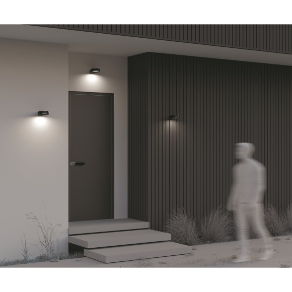 Настенный светильник (бра) Outdoor O443WL-L12GF3K Настенный светильник (бра) Outdoor O443WL-L12GF3K