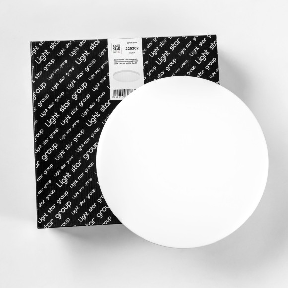 Настенно-потолочный светильник Lightstar 225202 ARCO IP44 светодиодный LED 200W Настенно-потолочный светильник Lightstar 225202 ARCO IP44 светодиодный LED 200W