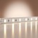 Светодиодная лента Base 24В 2835 9,6Вт/м 4000K 5м IP 20 Led Strip 201178