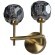 10021/2W Бра LOFT IT Orion Smoky 10021/2W Бра LOFT IT Orion Smoky