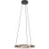 Eglo Mezzomonte 901826 Подвесной LED-светильник кольцо в стиле хай-тек с диммированием и регулировкой цветовой температуры пультом ДУ, 2x20Вт, 220В, 2700-6500К, 2x2220 лм, IP20, CRI90, бронзово-черные алюминий и сталь, белый пластик, диаметр 480 мм, высот