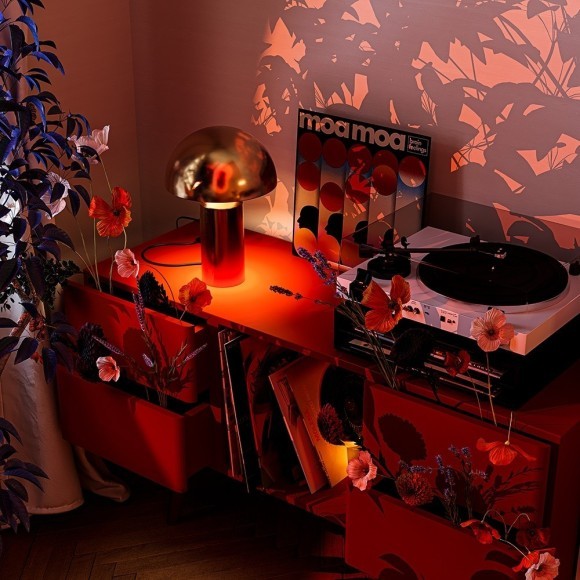 Настольная лампа Eleon FR5218TL-01BS Настольная лампа Eleon FR5218TL-01BS