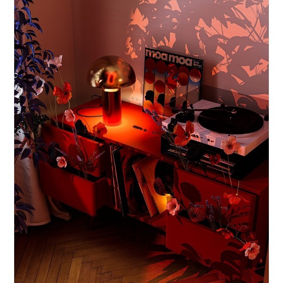 Настольная лампа Eleon FR5218TL-01BS Настольная лампа Eleon FR5218TL-01BS