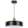 Подвесной светильник Arte Lamp SKAT A7152SP-1BK