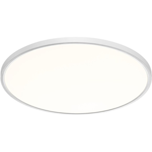 Настенно-потолочный светильник СОНЕКС Sonex ALFA WHITE 7659/48L