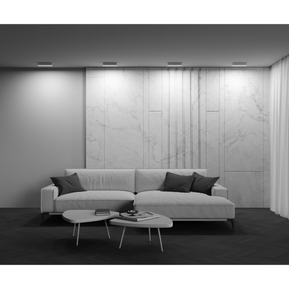 Потолочный светильник Technical C068CL-20W3-6K-W