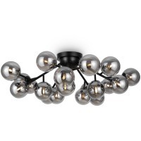 Потолочный светильник Maytoni MOD545CL-20B