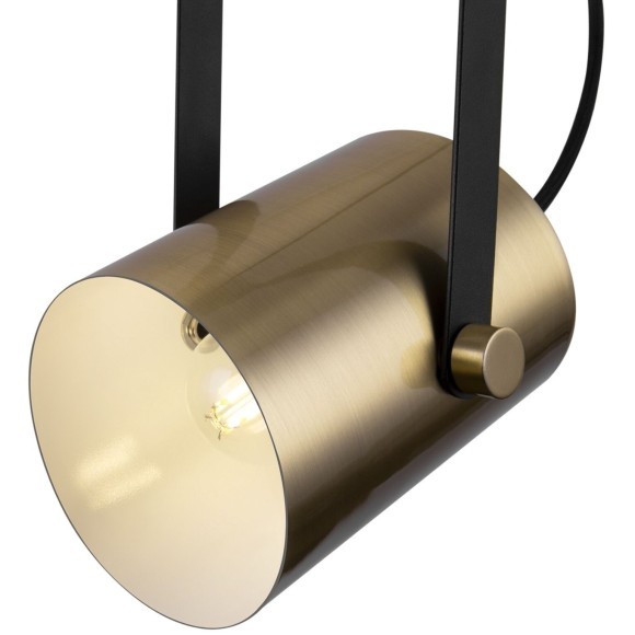 Подвесной светильник с 1 плафоном Freya FR4004PL-01BBS Elori под лампу 1xE27 25W