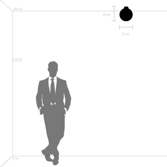 Люстра потолочная Lightstar 812031 Globo под лампу 1xE14 40W Люстра потолочная Lightstar 812031 Globo под лампу 1xE14 40W