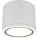 Потолочный светильник Technical C095CL-GX53-W
