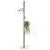 10121/F Dark grey Торшер LOFT IT Jardin