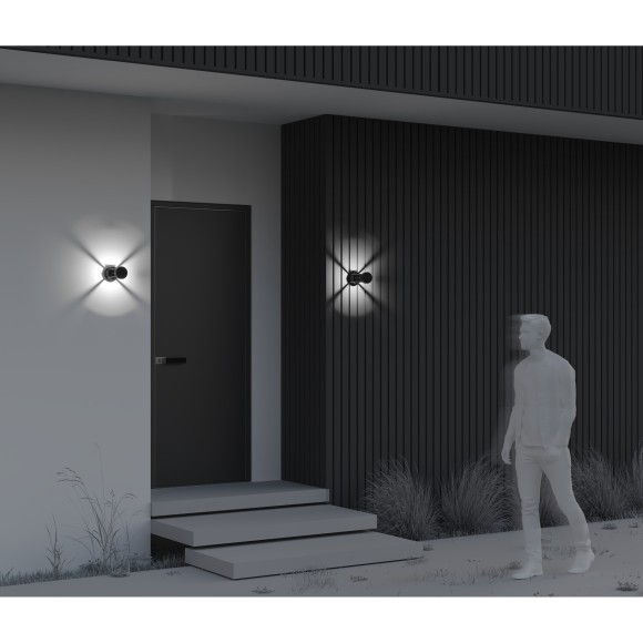 Настенный светильник (бра) Outdoor O458WL-L9GF3K